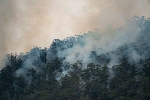 Bushfire in Australia