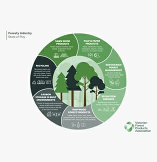 Forestry infographic