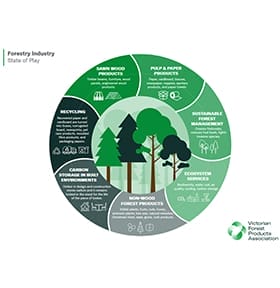 forestry infographic 01